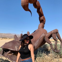 Checking (Back) In: Mental Health and COVID-19